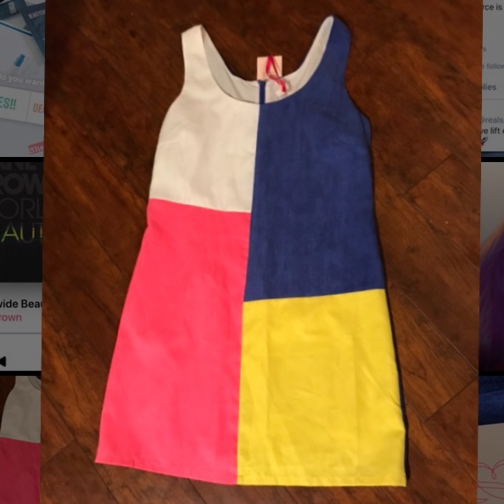 Julie Brown “Purple Poppy” color block dress